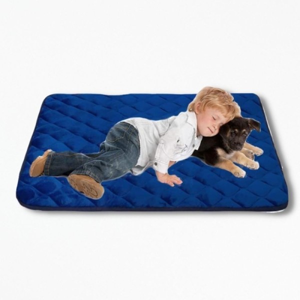 Coussin Orthopédique pour ChienWoofyrest - 61 x 46 cm / Bleu