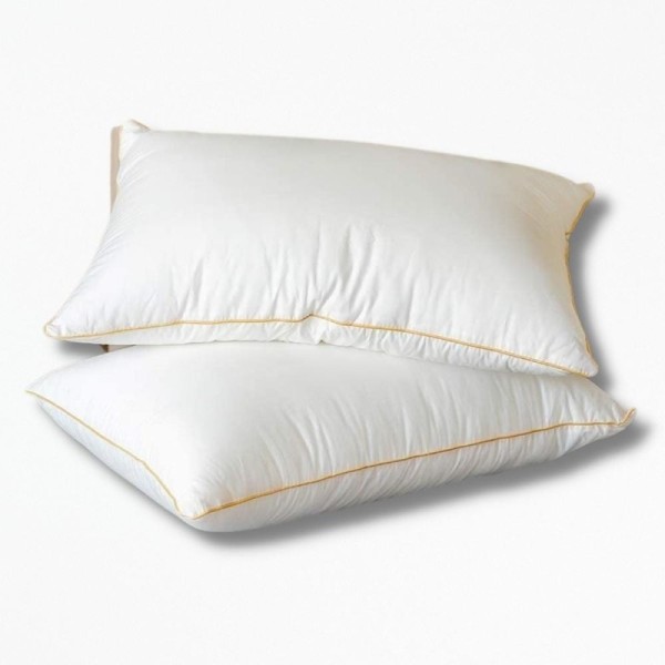 Coussin En Duvet D'oieGooseCush