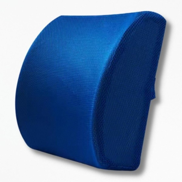 Coussin Soutien DosEaseErgonomics - 34x33x12 cm / Bleu