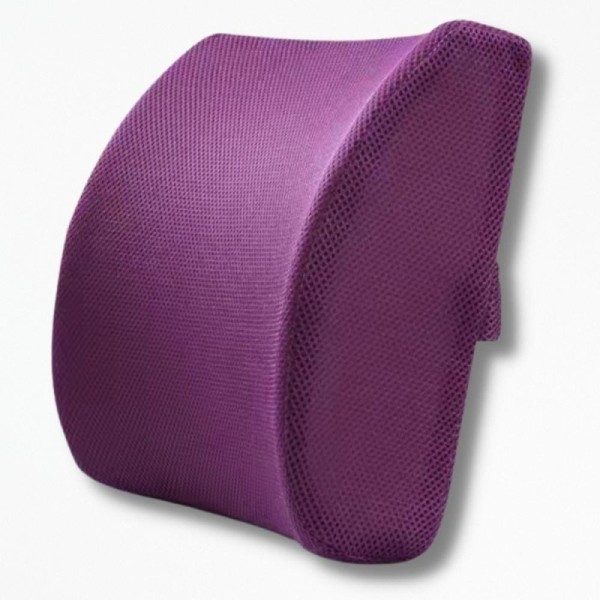 Coussin Soutien DosEaseErgonomics - 34x33x12 cm / Violet